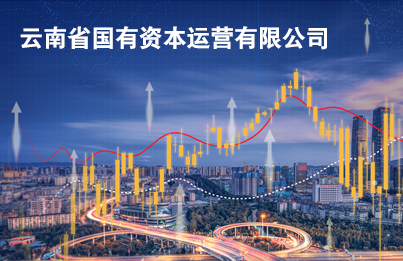 云南省國(guó)有資本運(yùn)營(yíng)有限公司